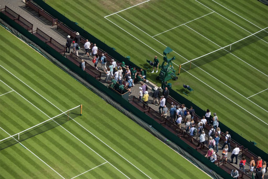 Wimbledon grounds